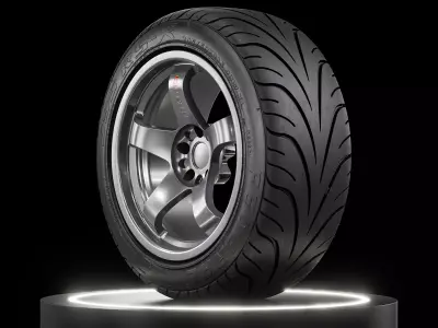 Federal 595 RS R 205 50 ZR15 3D model