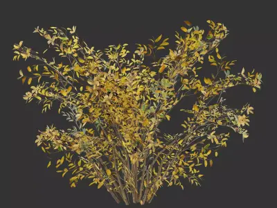 Simple Autumn Bush Game Ready Free 3D model