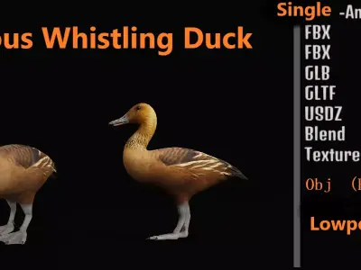 Fulvous Whistling Duck Low-poly 3D model