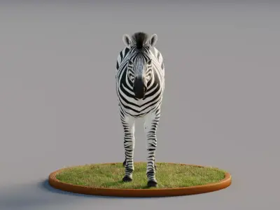 Rigged Zebra Free 3D model