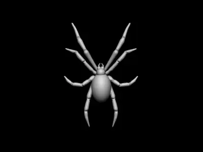 Spider relief 3D print model 3D print model