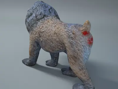 Mandrill baboon 3D model