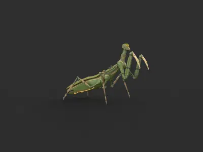 Robot Mantis 3D model