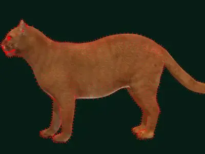 Jaguarundi Wildcat Animal Free 3D model