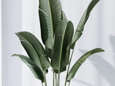 Bird Of ParadiseBird and Areca Majesty Vase 12 3D model