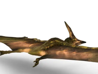 Pterodon 3D Model Free 3D model