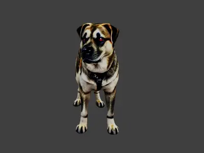 Dog Animal Low-poly 3D model