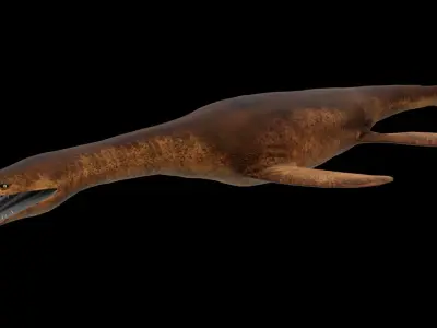 Pliosaur Rhomaleosaurus Low-poly 3D model