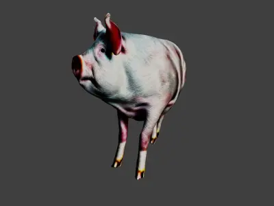Pig Animal Low-poly 3D model