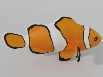 Clownfish orange clown fish Low-poly 3D model
