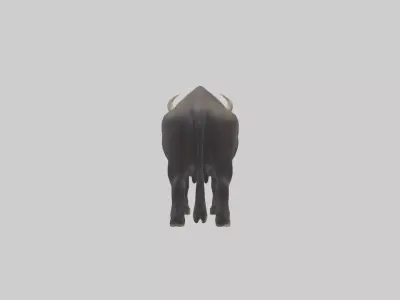 Gaur grazing model 3D model