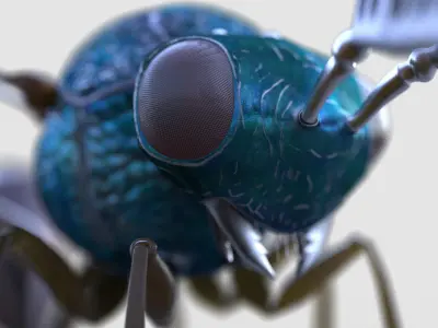 Eucharitidae 3d model rigged Apocrita Low-poly 3D model