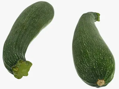 Zucchini Set 3D model