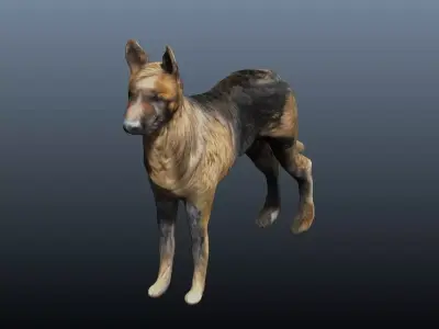 german shepard 3D model
