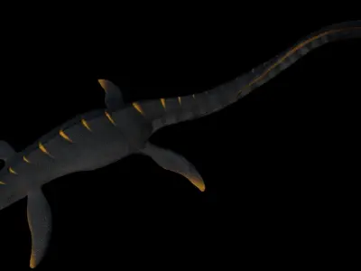 Elasmosaurus dinosaur Low-poly 3D model