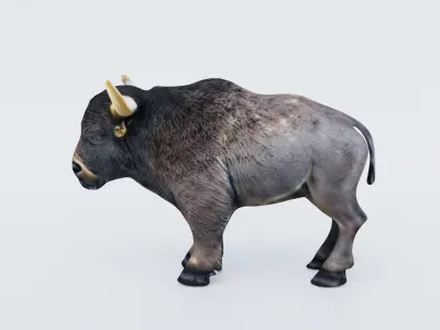 Buffalo Free 3D model