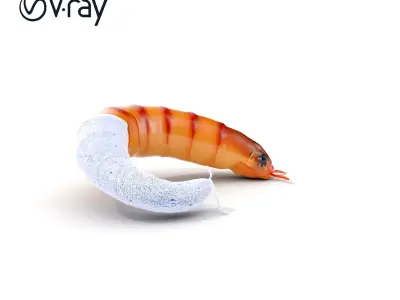 Realistic Mealworm Model Pack for Production and Game Environ... Low-poly 3D model