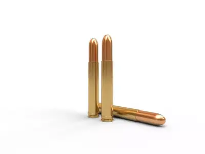 458 Lott Ammo Low-poly 3D model