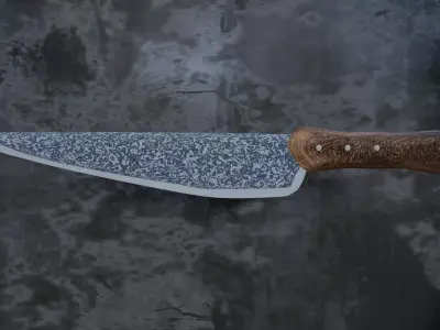 Rustic Damascus Steel Knife Free 3D model