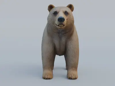 Bear grizzly Free 3D model