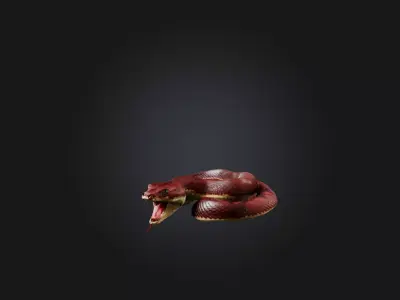 Realistic Wounded Snake Model Low-poly 3D model