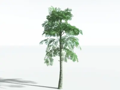 EVERYPlant Alethopteris Seed Fern LowPoly 2 --12 Models-- Low-poly 3D model