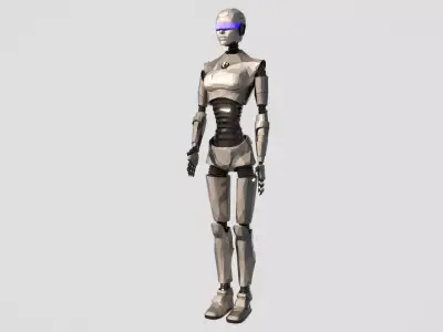 Silver Gynoid Futuristic Humanoid Robot Model Low-poly 3D model