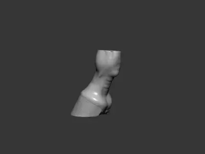 Horse Hoof Highpoly Sculpt 3D model