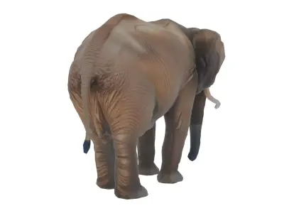 Elephant Low-poly 3D model