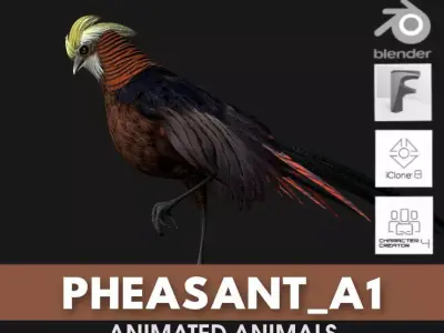 Pheasant A1 3D model