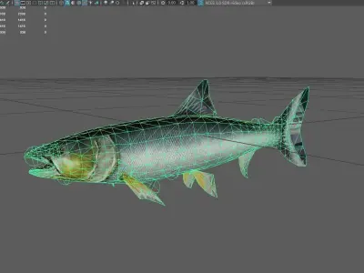 Yellowcheek Low-poly 3D model