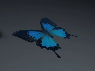 Blue Butterfly Low-poly 3D model