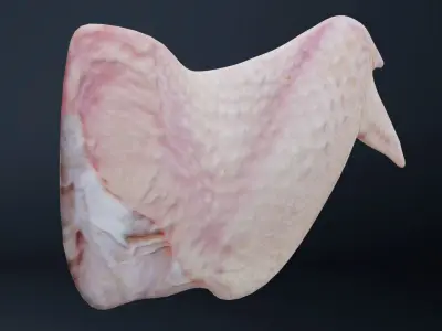 Wings of bird Low-poly 3D model