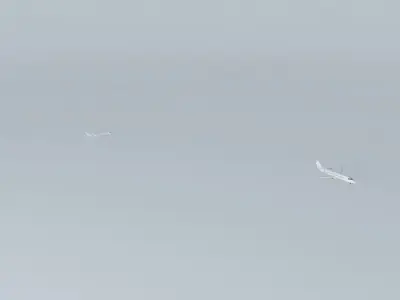 Plane Viraacopos 3D model