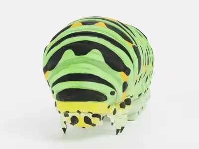 -Old World Swallowtail Caterpillar - Papilio Machaon- 3D model
