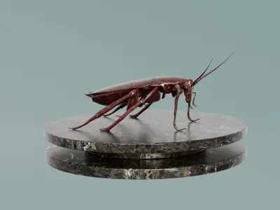 House Decoration Cockroach Statue Low-poly 3D model