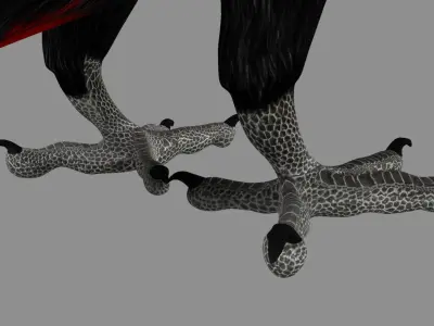 Red breasted toucan 3D model