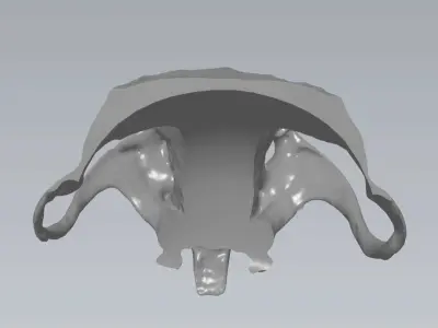 MakeIT  Rat Skull 3D Model  3D model