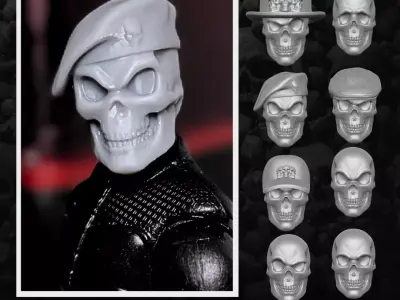 Skull Collection Heads 3D printable File 3D print model