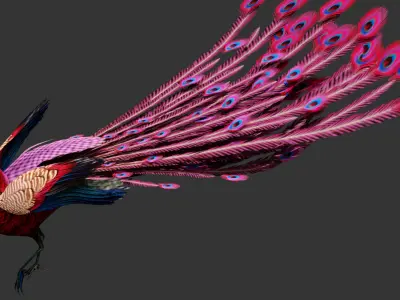 Peacock A1 3D model