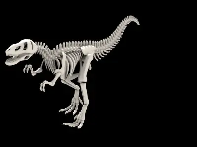 Dinosaurus skeleton Low-poly 3D model