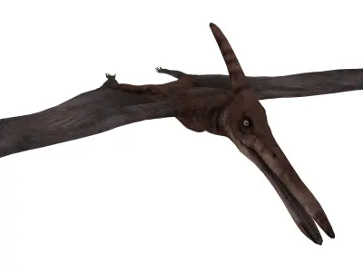 pterosaurs dinosaur flying Low-poly 3D model