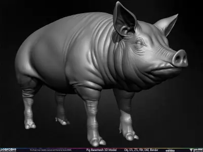 Pig Basemesh 3D Model Low-poly 3D model