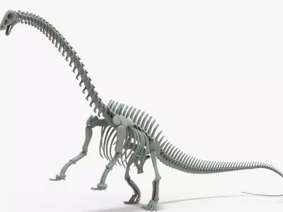 Brontosaurus Rigged Skeleton Low-poly 3D model