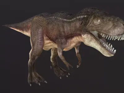 Tyrannosaurus t - rex Low-poly 3D model