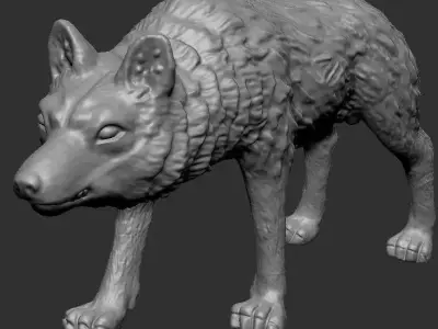 wolf model 3D model
