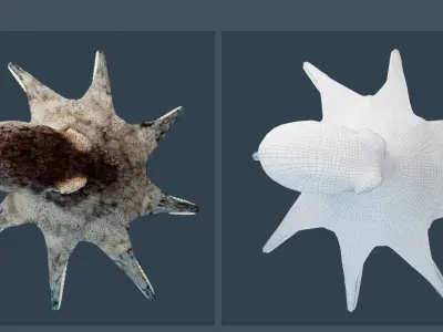 Animated Caribbean Reef Octopus Low-poly 3D model