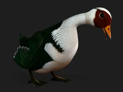 Duck A4 3D model