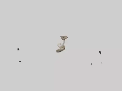 Kangaroo Femur Low-poly 3D model