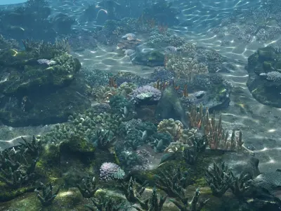 Underwater Coral Reef Habitat Ocean V3 Low-poly 3D model